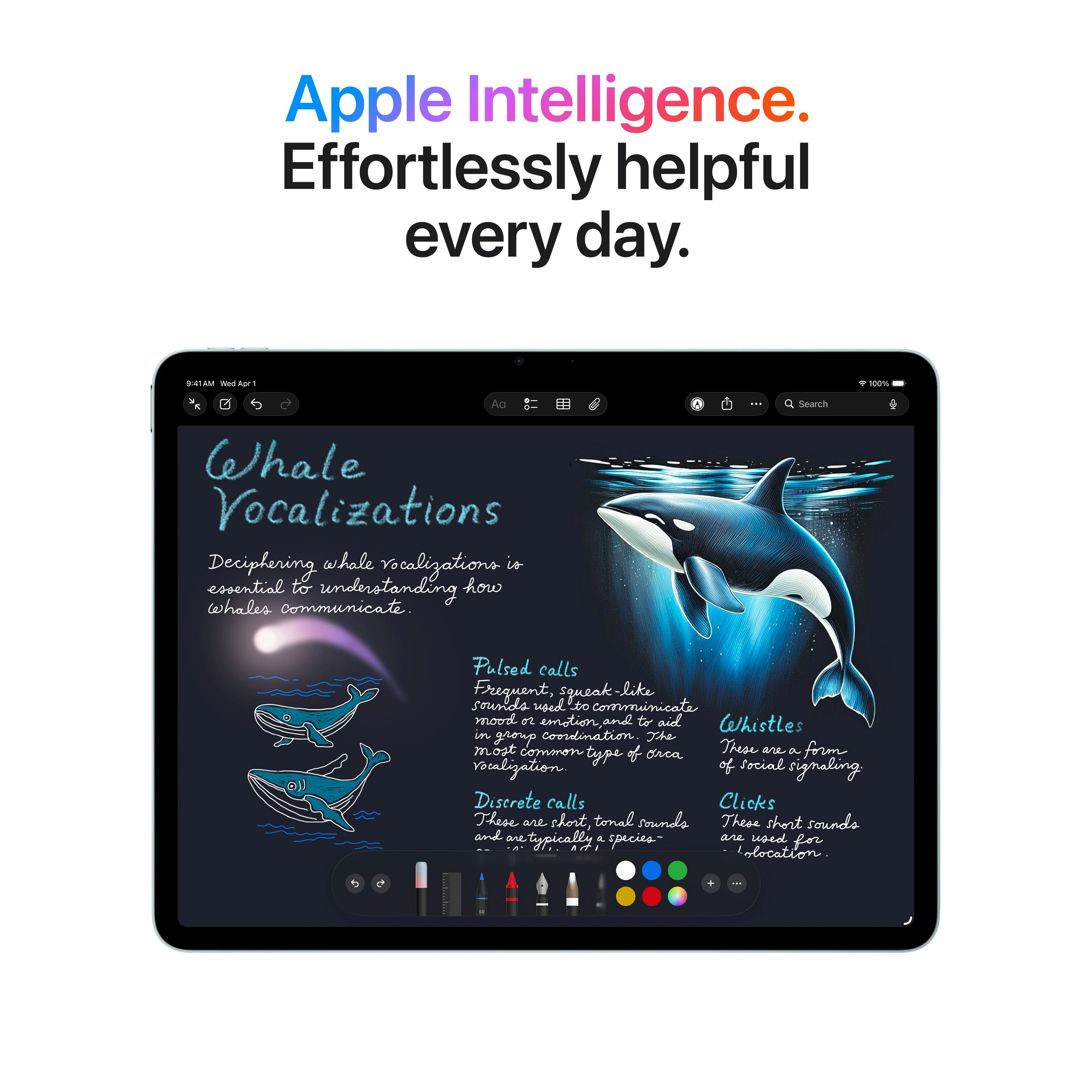 11-inch iPad Air Wi-Fi + Cellular 1TB - Space Gray (M4) - Image 5