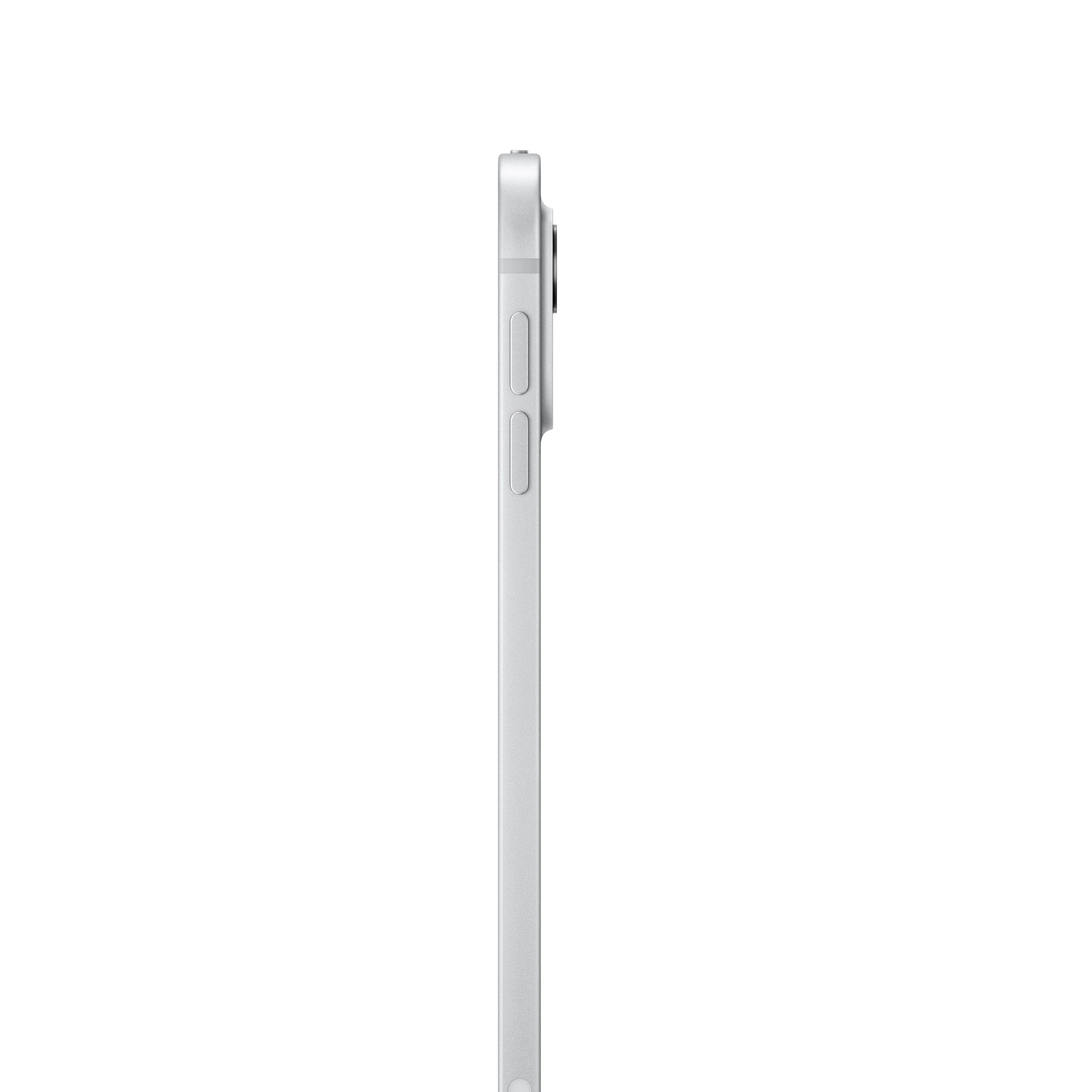 11-inch iPad Pro Wi-Fi 256GB Standard Glass - Silver (M4) - Image 3