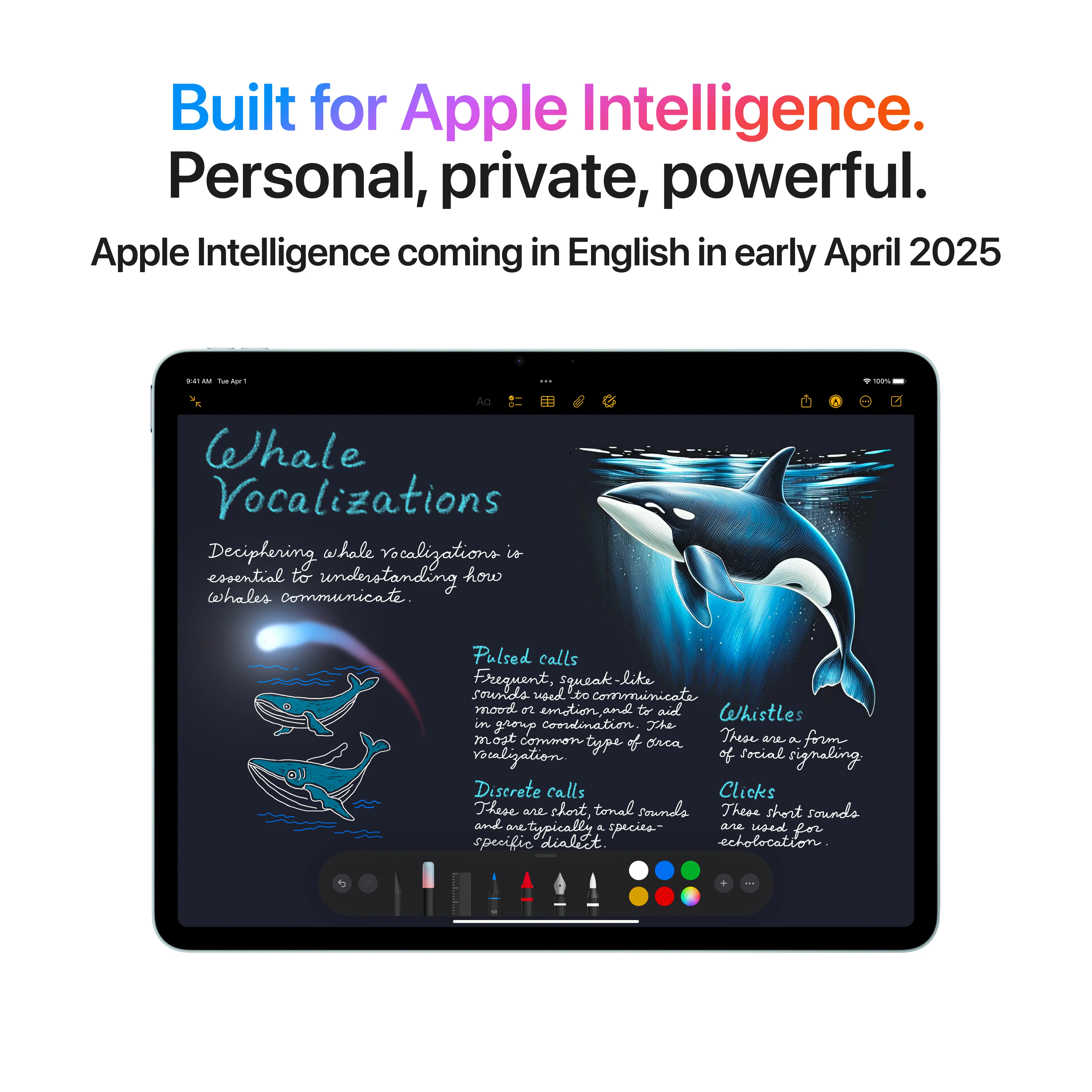 13-inch iPad Air Wi-Fi + Cellular 512GB - Starlight (M3) - Image 5