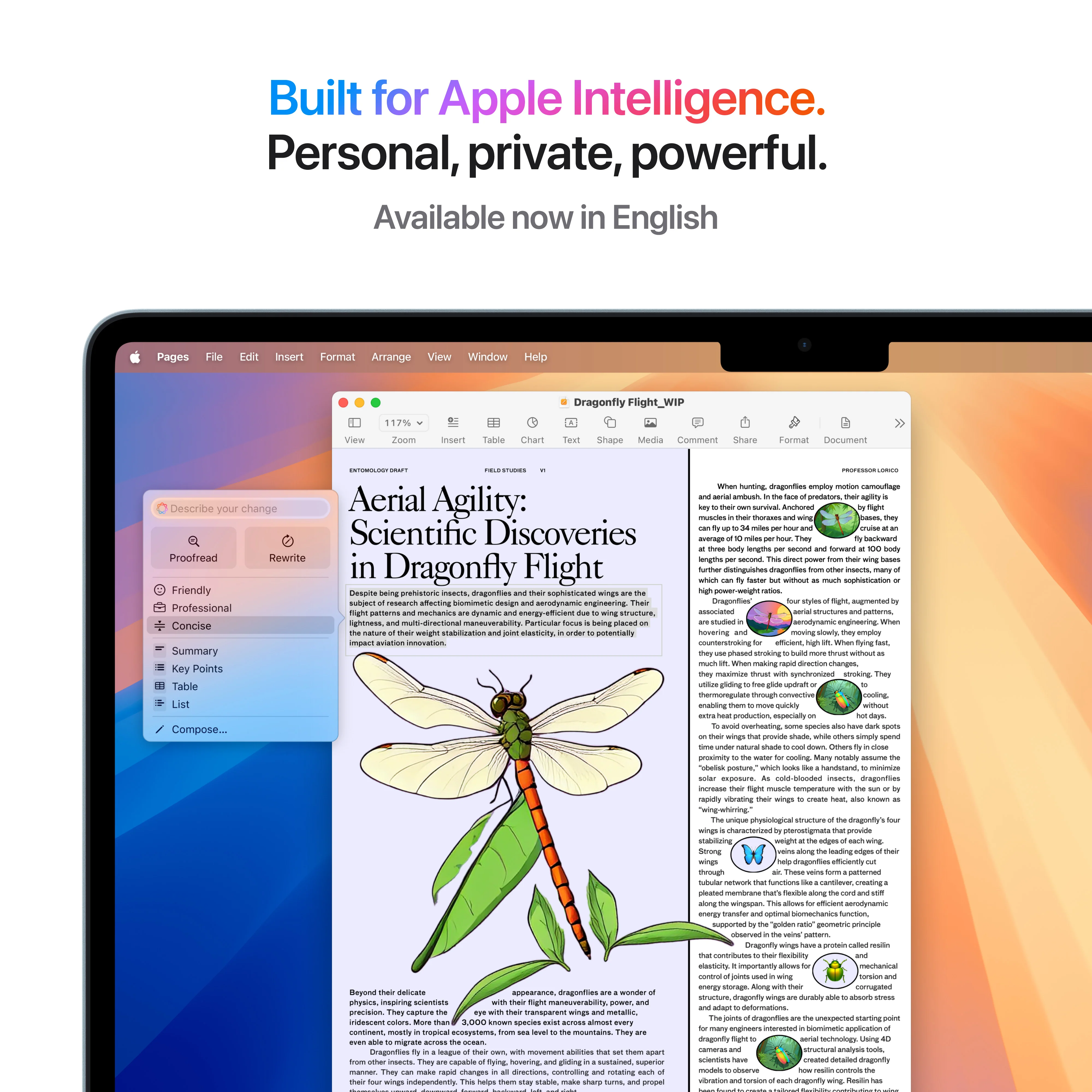 13-inch MacBook Air: Apple M4 chip with 10-core CPU and 10-core GPU, 512GB SSD - Sky Blue - Image 6