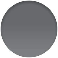 iPad (9th Gen) Wi-Fi + Cellular 256GB - Space Grey - Image 11