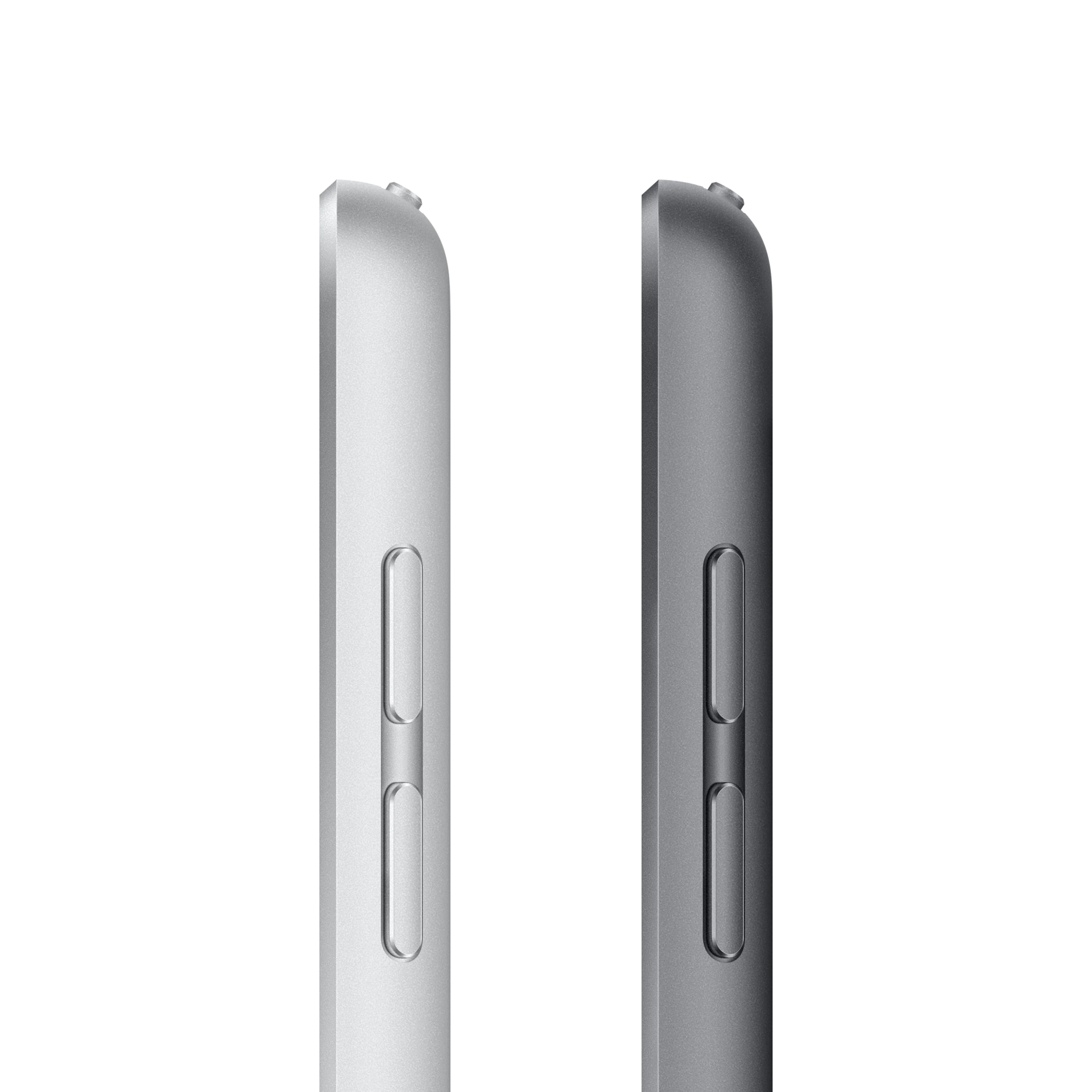 iPad (9th Gen) Wi-Fi + Cellular 256GB - Space Grey - Image 9