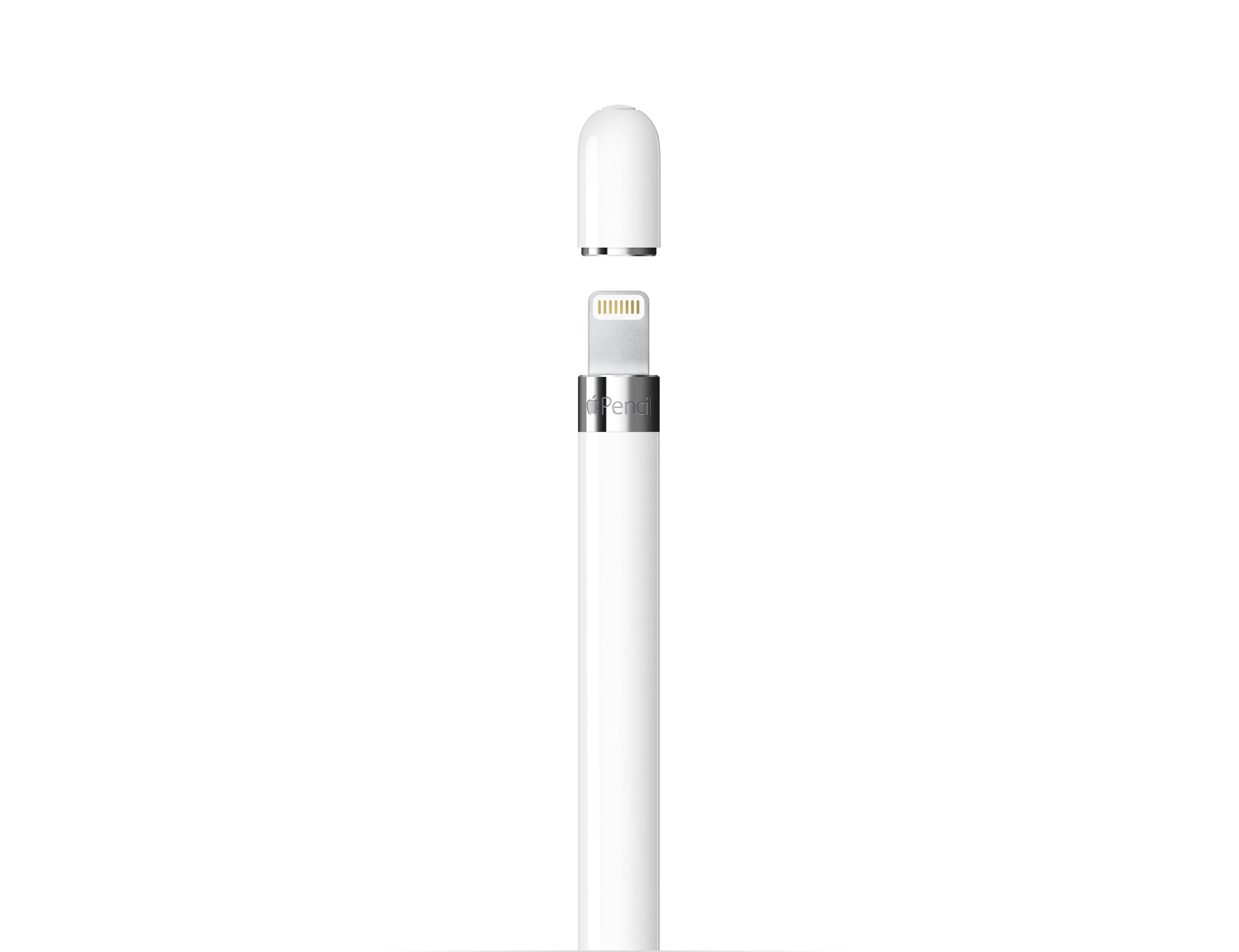 Apple Pencil (1st Generation) with USB-C to Apple Pencil Adapter - Image 3