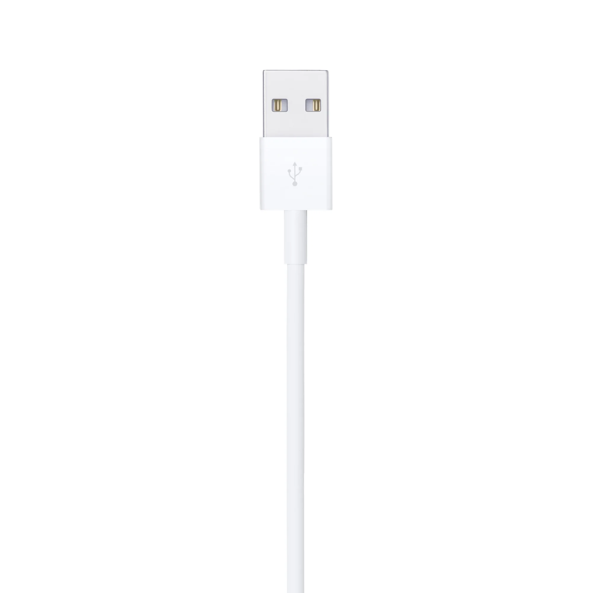 Lightning to USB Cable (0.5 m) - Image 4