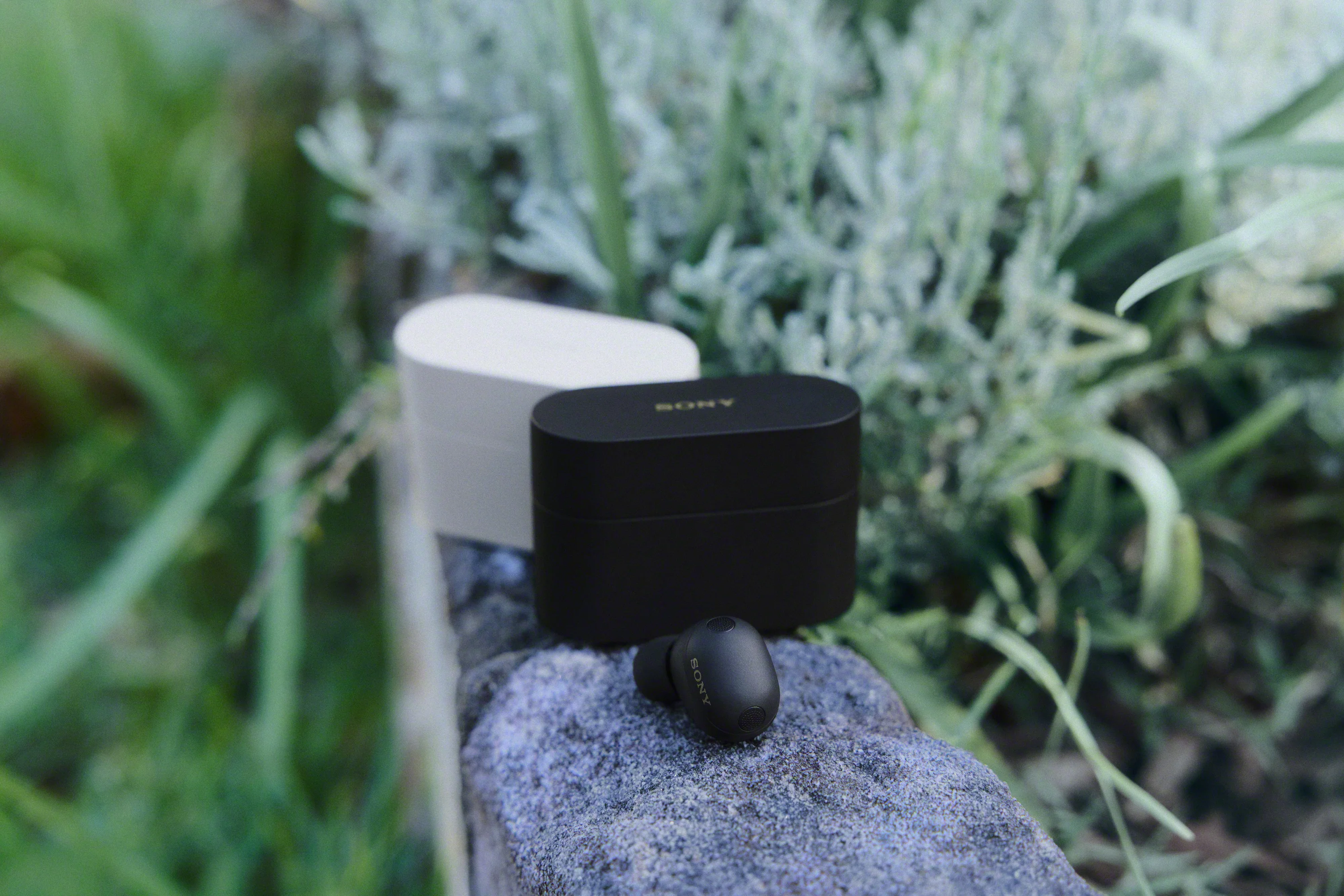SONY WF-1000XM6 True Wireless Earphones - Black - Image 13